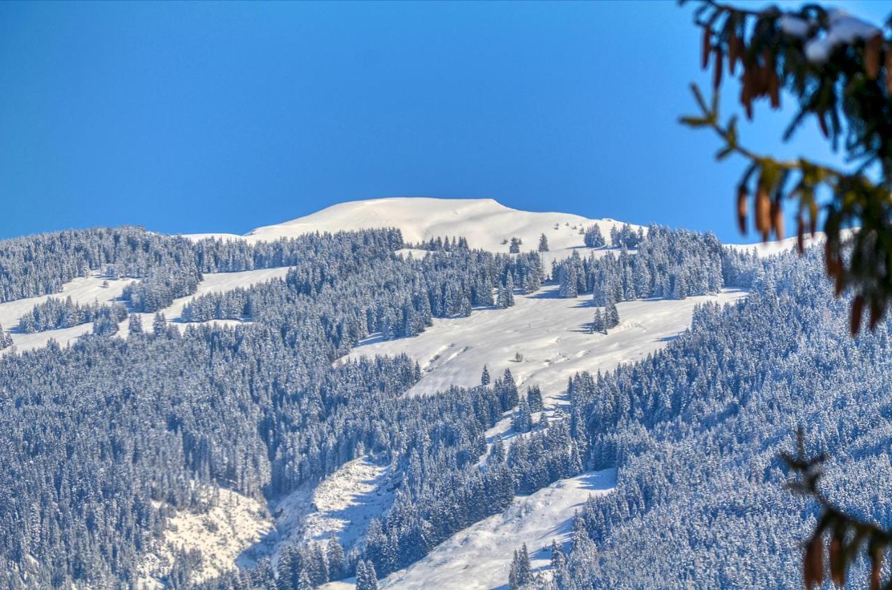 Apartment Snowmountain - By Alpen Apartments Zell am See Ngoại thất bức ảnh